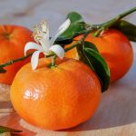 Tak Hanya Segar, Inilah 5 Manfaat buah jeruk untuk Kesehatan